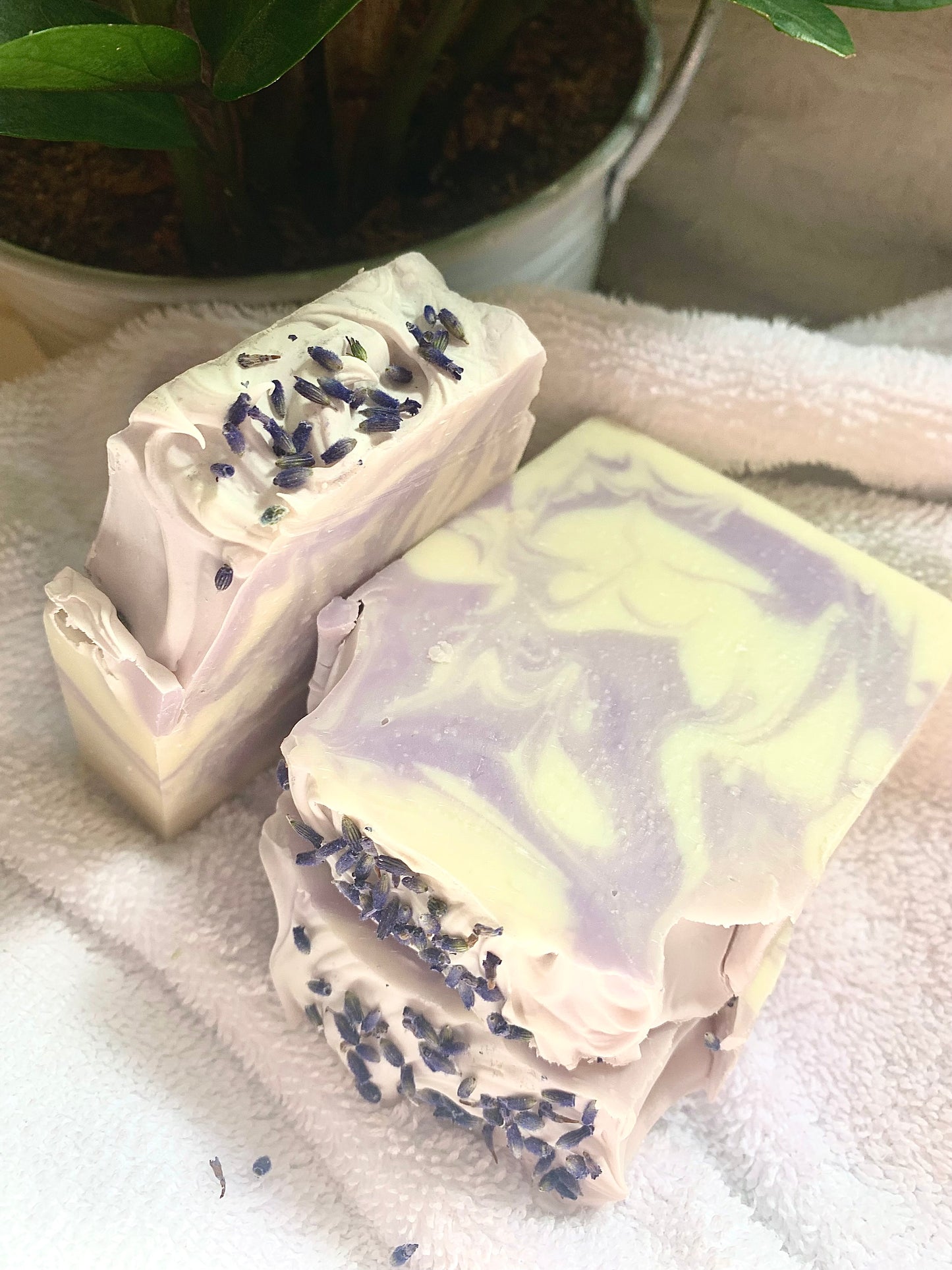 French Lavender Soap